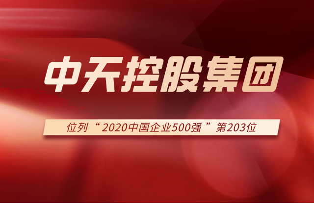 控股集团列2020中国企业500强第203位！